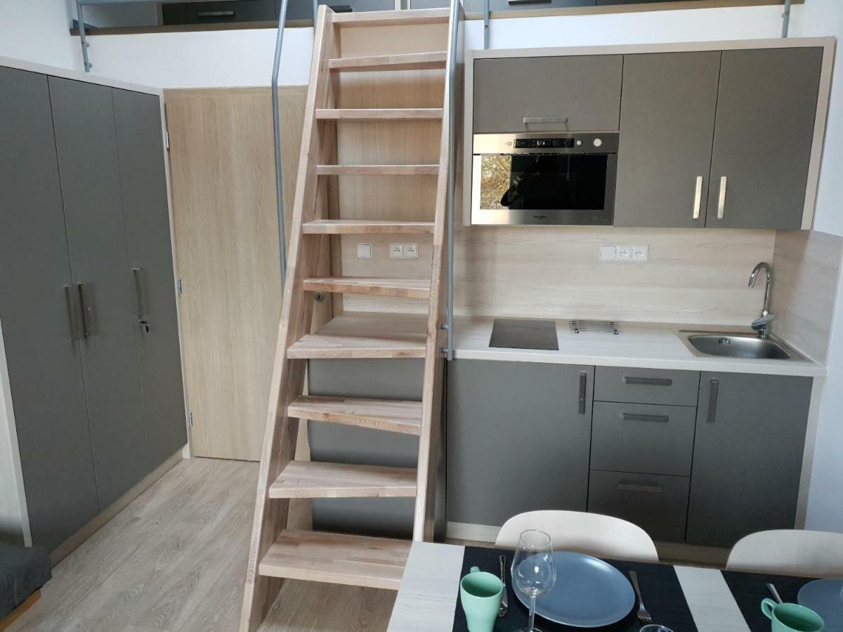 Loučná nad Desnou Apartman Pod Medvedi Horou מראה חיצוני תמונה