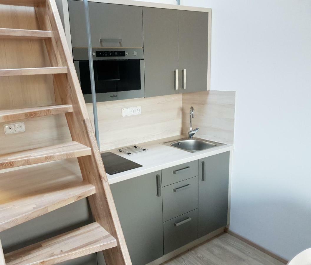 Loučná nad Desnou Apartman Pod Medvedi Horou מראה חיצוני תמונה